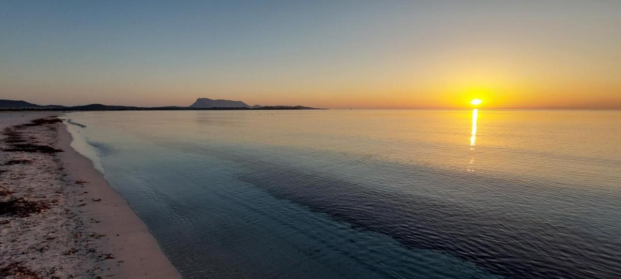 Appartamento Brigida Bilocale 2 Posti Vicino Al Centro San Teodoro  Exteriör bild